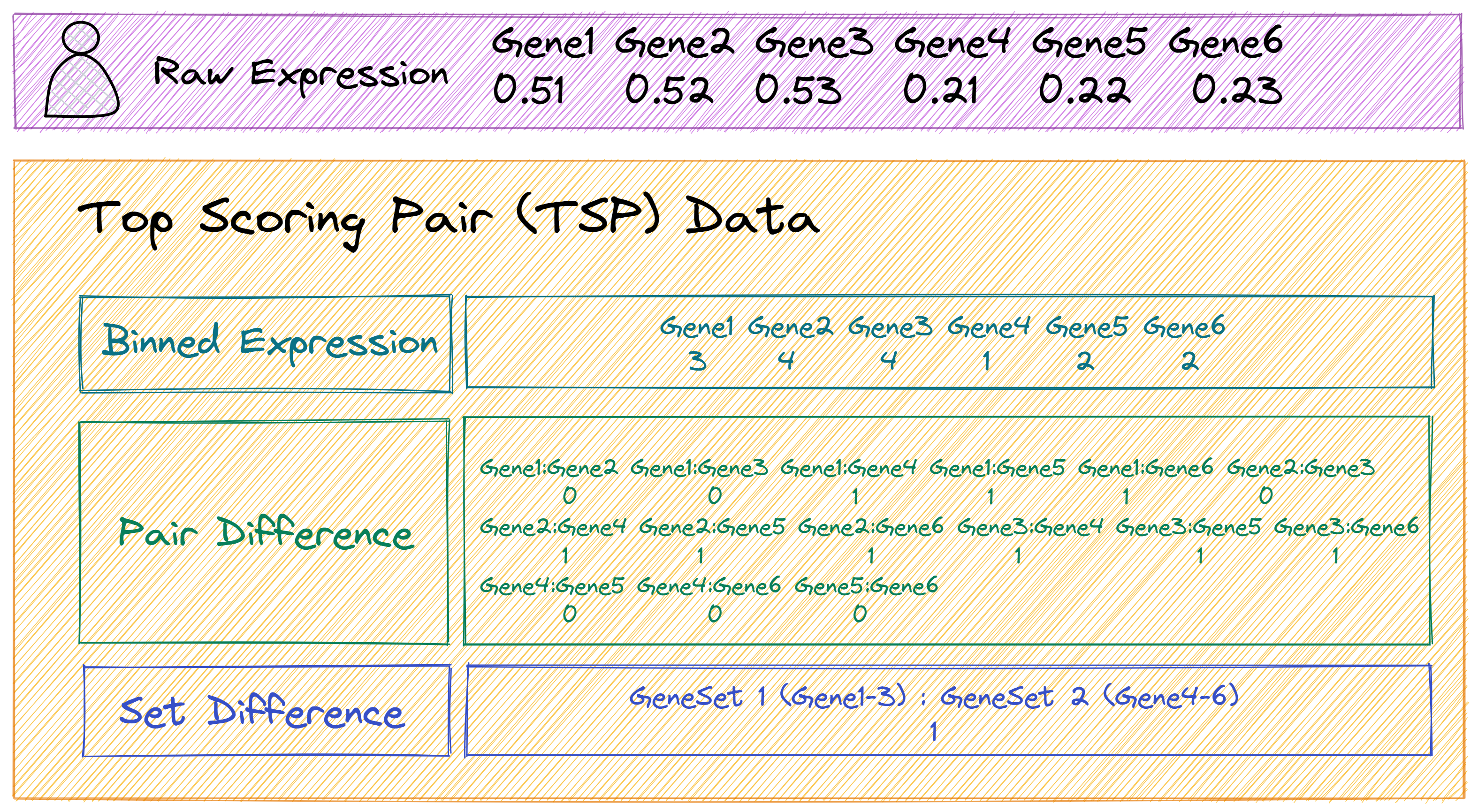 The components of TSP (2 gene sets)